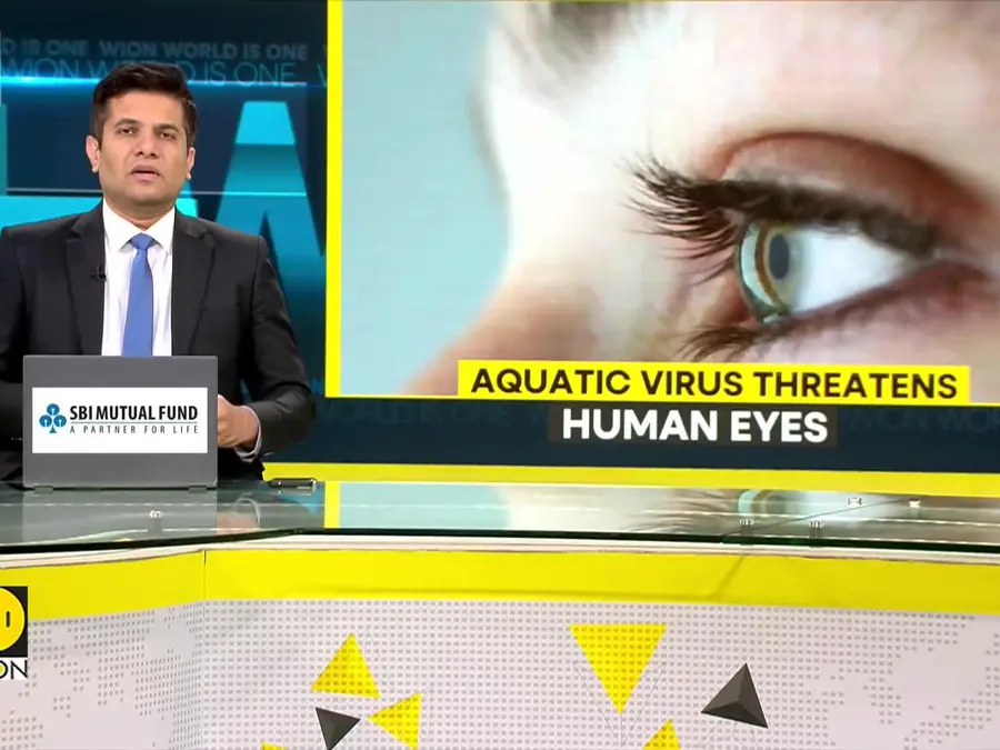 Study: Virus From Aquatic Animals Can Infect Human Eyes