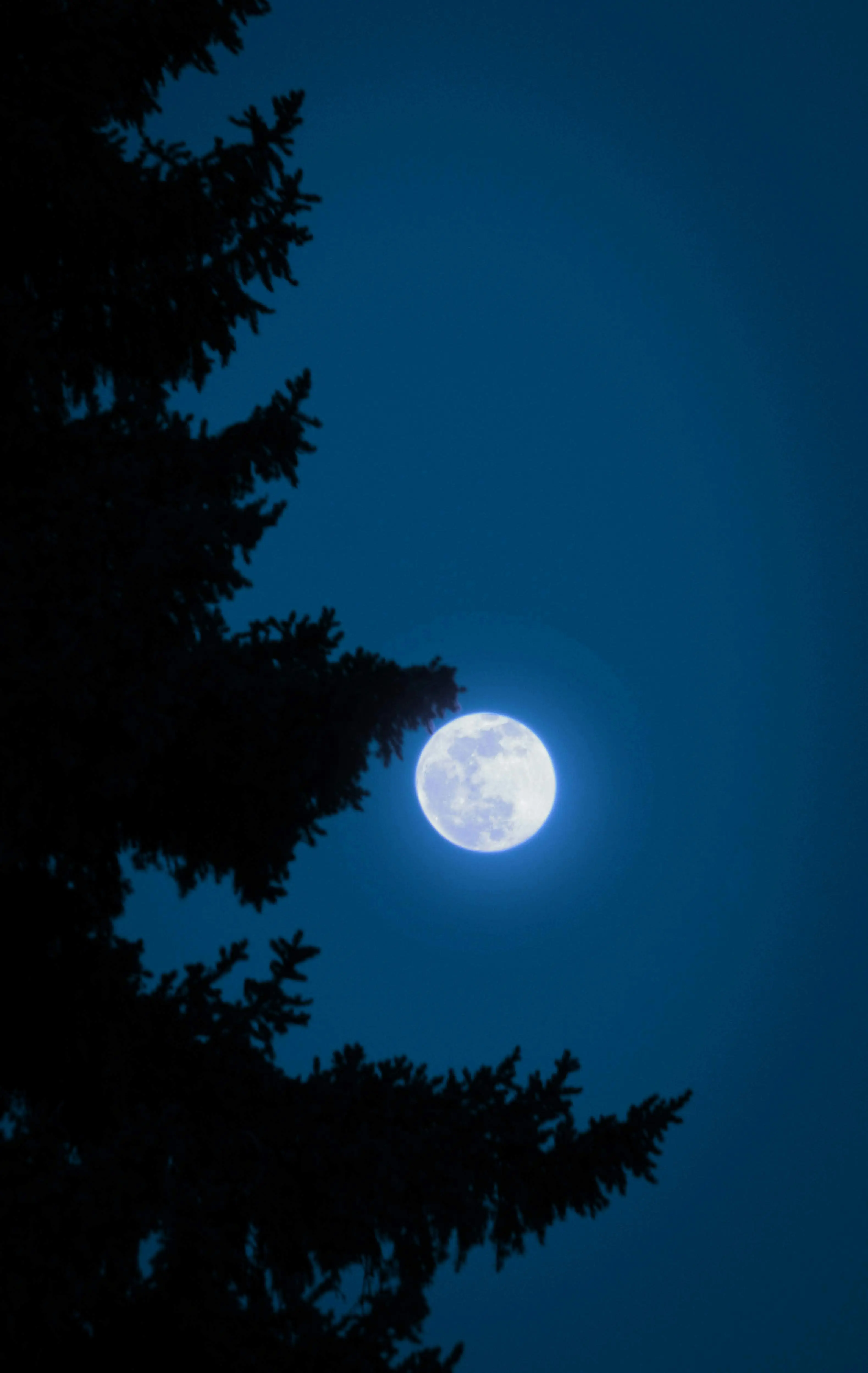 Next Calendar-month Blue Moon