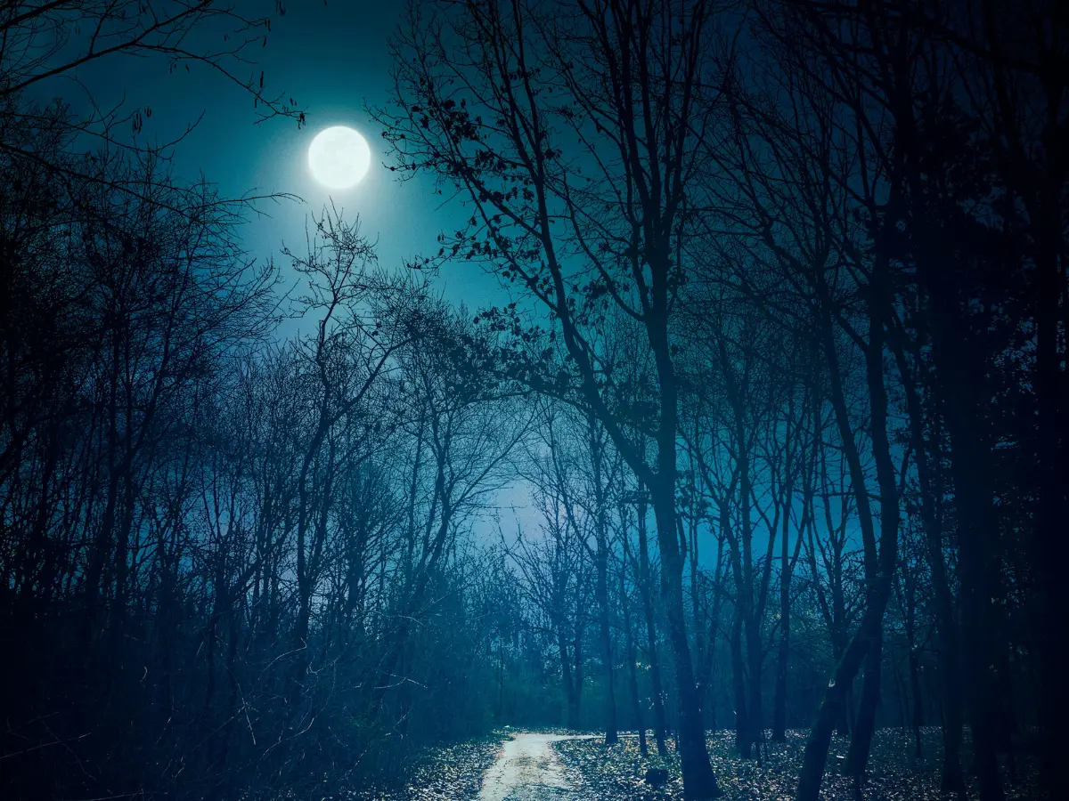 Why is the third Full Moon called Blue Moon instead of the fourth one?