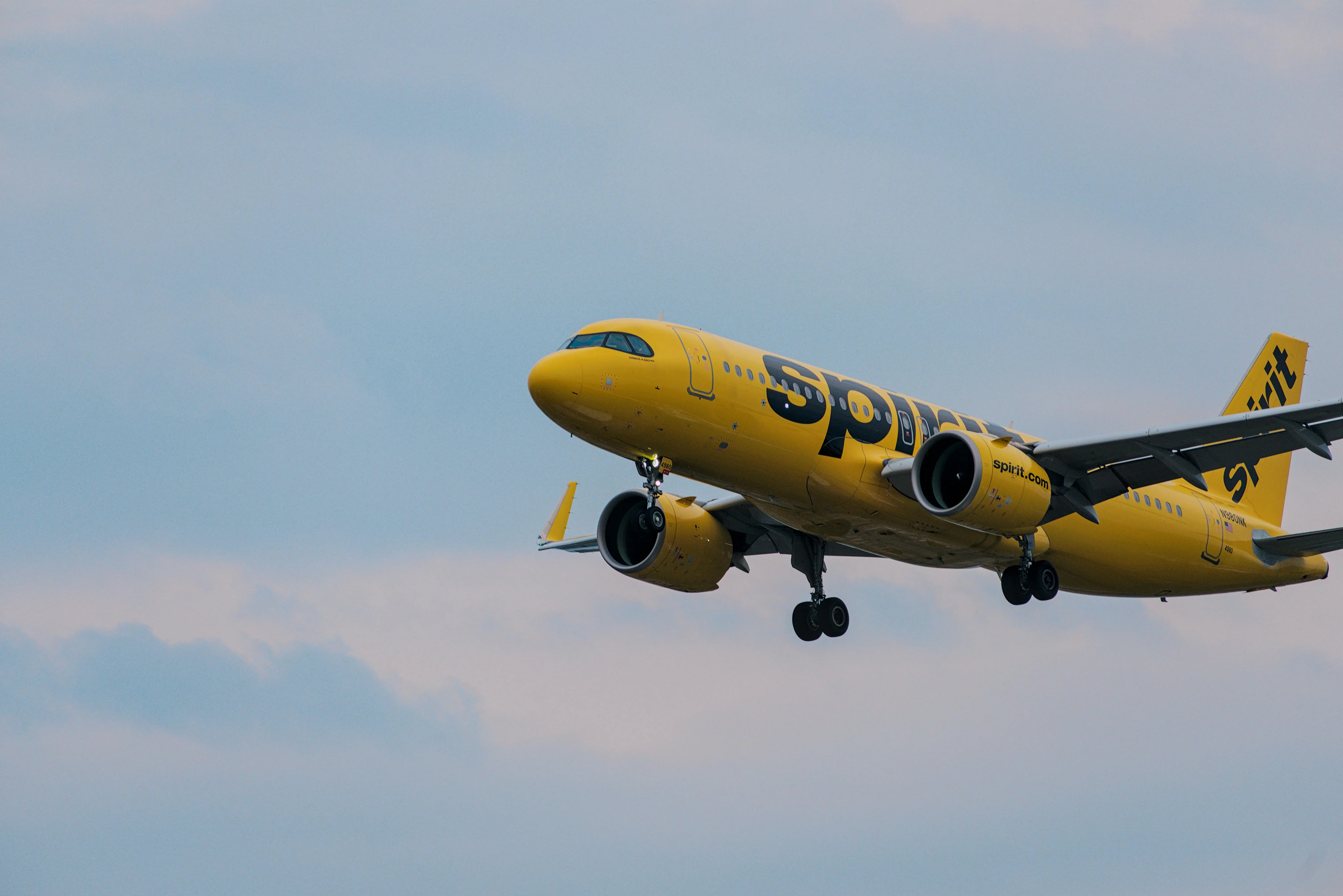 Elderly man with dementia walks hours and dies on highway after being 'abandoned' by Spirit Airlines
