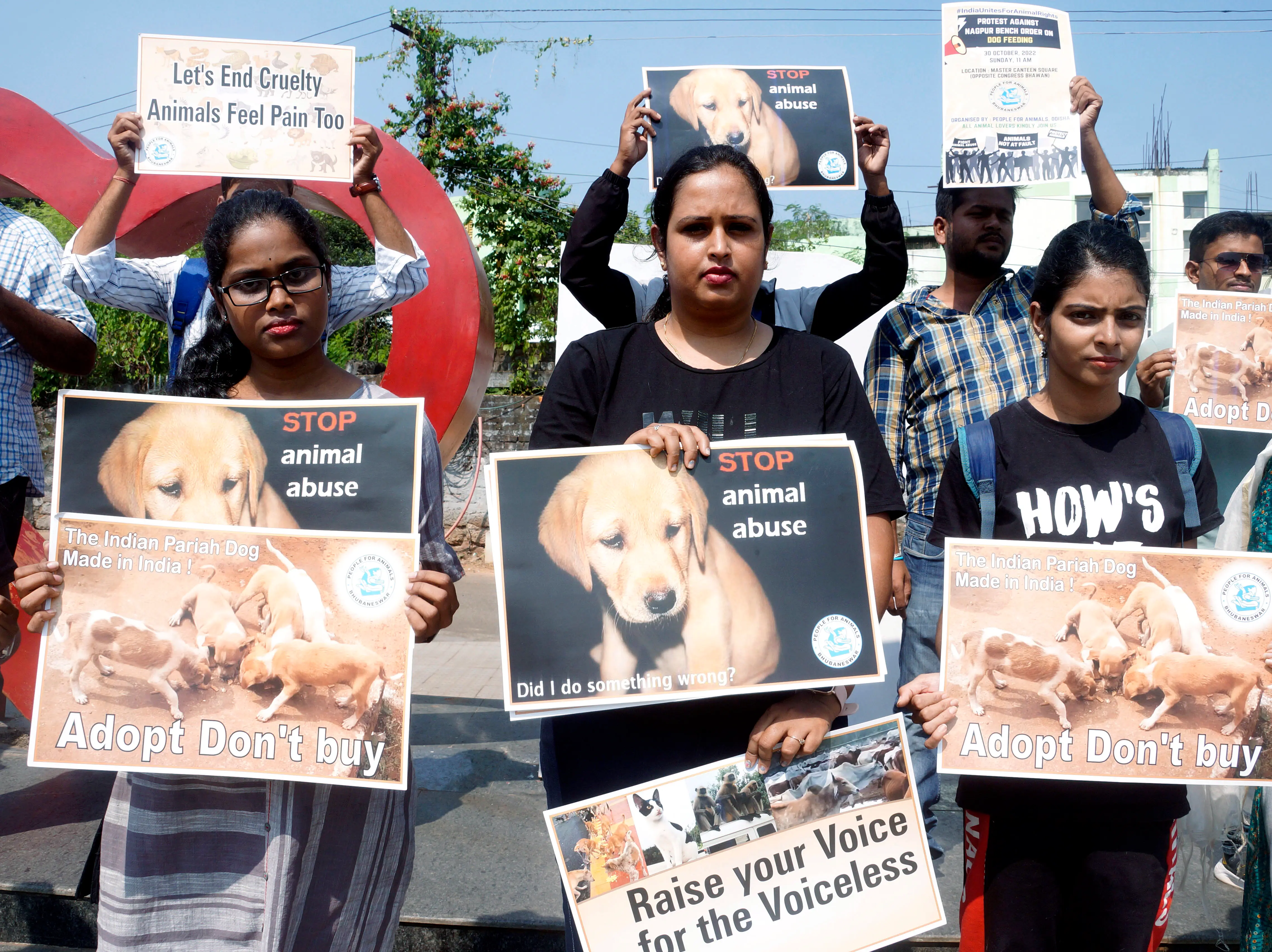10,312 cases in one year: NCRB releases shocking animal cruelty data for the first time, PETA says it’s ‘just a drop in the ocean’ 10,312 cases in one year: NCRB releases shocking animal cruelty data for the first time, PETA says it’s ‘just a drop in the ocean’