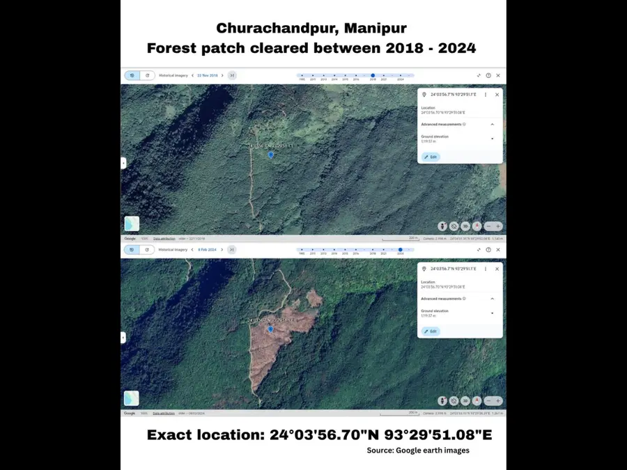 India's Green Mirage: Northeast is quietly losing its forest cover while India celebrates gains