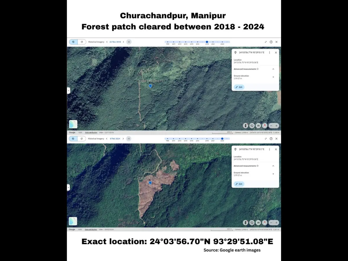 India's Green Mirage: Northeast is quietly losing its forest cover while India celebrates gains