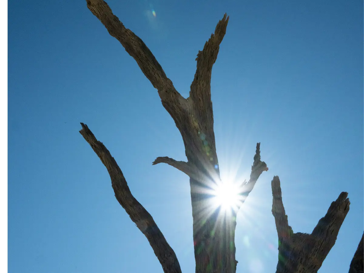 What is El Niño?