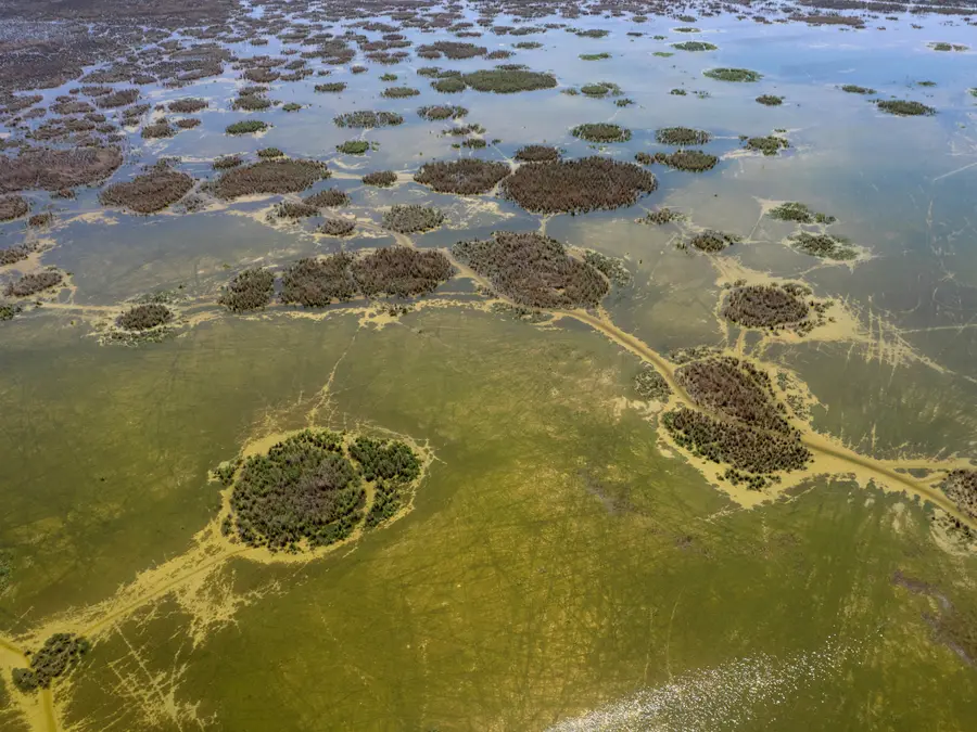 Armageddon in 15 years? A 2040 forecast about THIS river is triggering 'end times' warnings