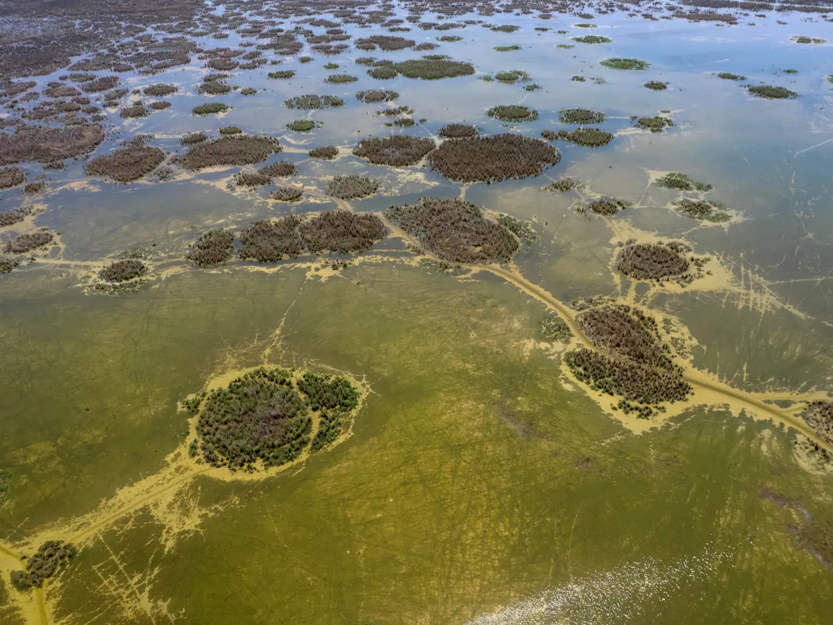 Armageddon in 15 Jahren? Eine Prognose für 2040 über DIESEN Fluss löst ...