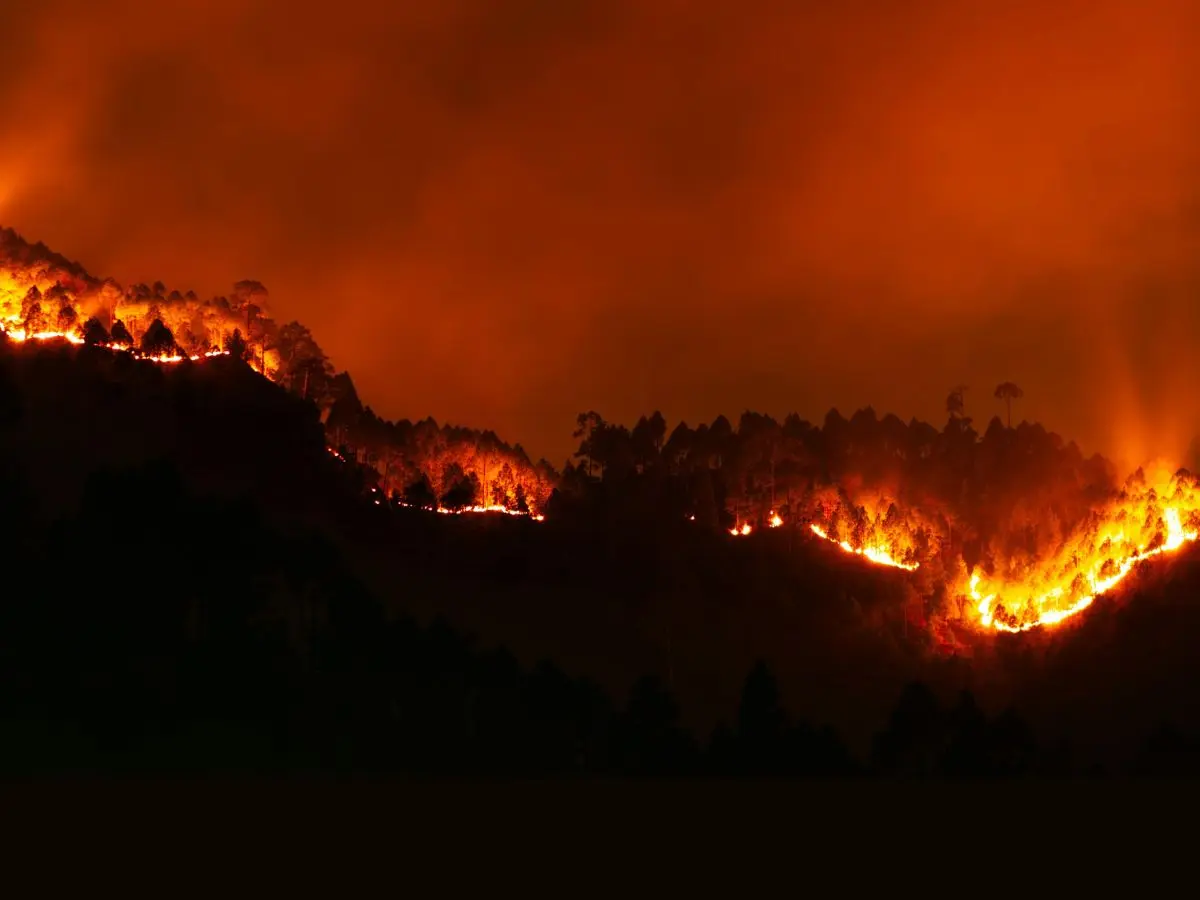 Over 150 million hectares burnt! Global wildfires hit record high in 2026 as extreme heat fuels climate fears Over 150 million hectares burnt! Global wildfires hit record high in 2026 as extreme heat fuels climate fears