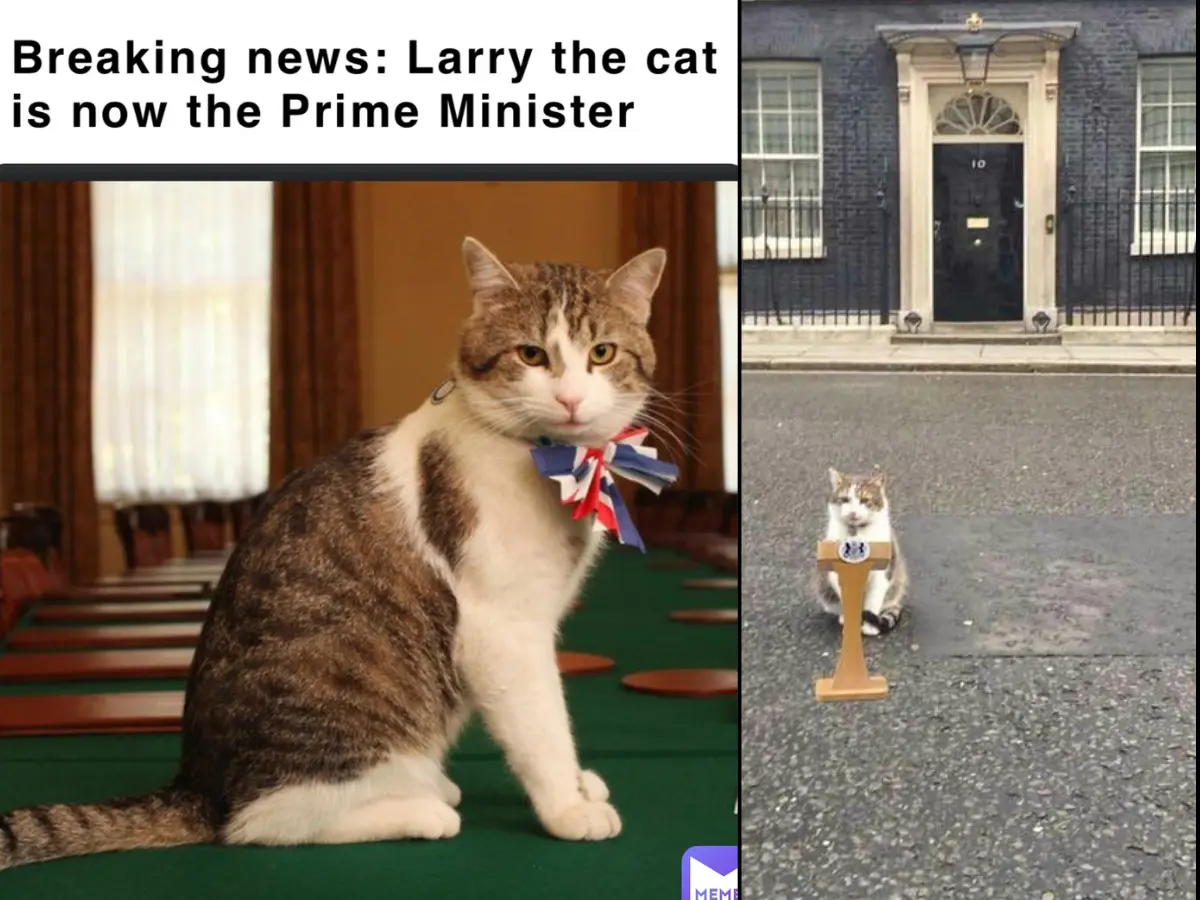 6 PMs in 15 years: Chief Mouser, Larry the Cat, weighs in on UK's political crisis - 'Whether Starmer stays or goes...'