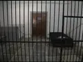 Would you pay to spend a night behind bars? Hyderabad’s unique ‘jail experience’