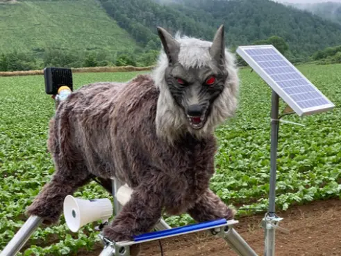Flashing eyes, loud howls: Japan’s ‘Monster Wolf’ robots see boom in orders as bear attacks rise Flashing eyes, loud howls: Japan’s ‘Monster Wolf’ robots see boom in orders as bear attacks rise