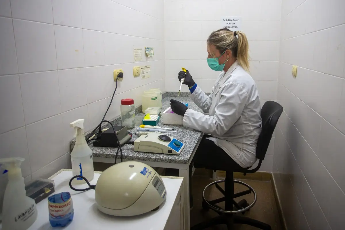 The 'Hondius' Investigation: Argentina probes Ushuaia connection to deadly cruise ship virus
