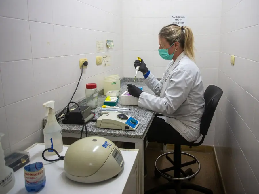 The 'Hondius' Investigation: Argentina probes Ushuaia connection to deadly cruise ship virus