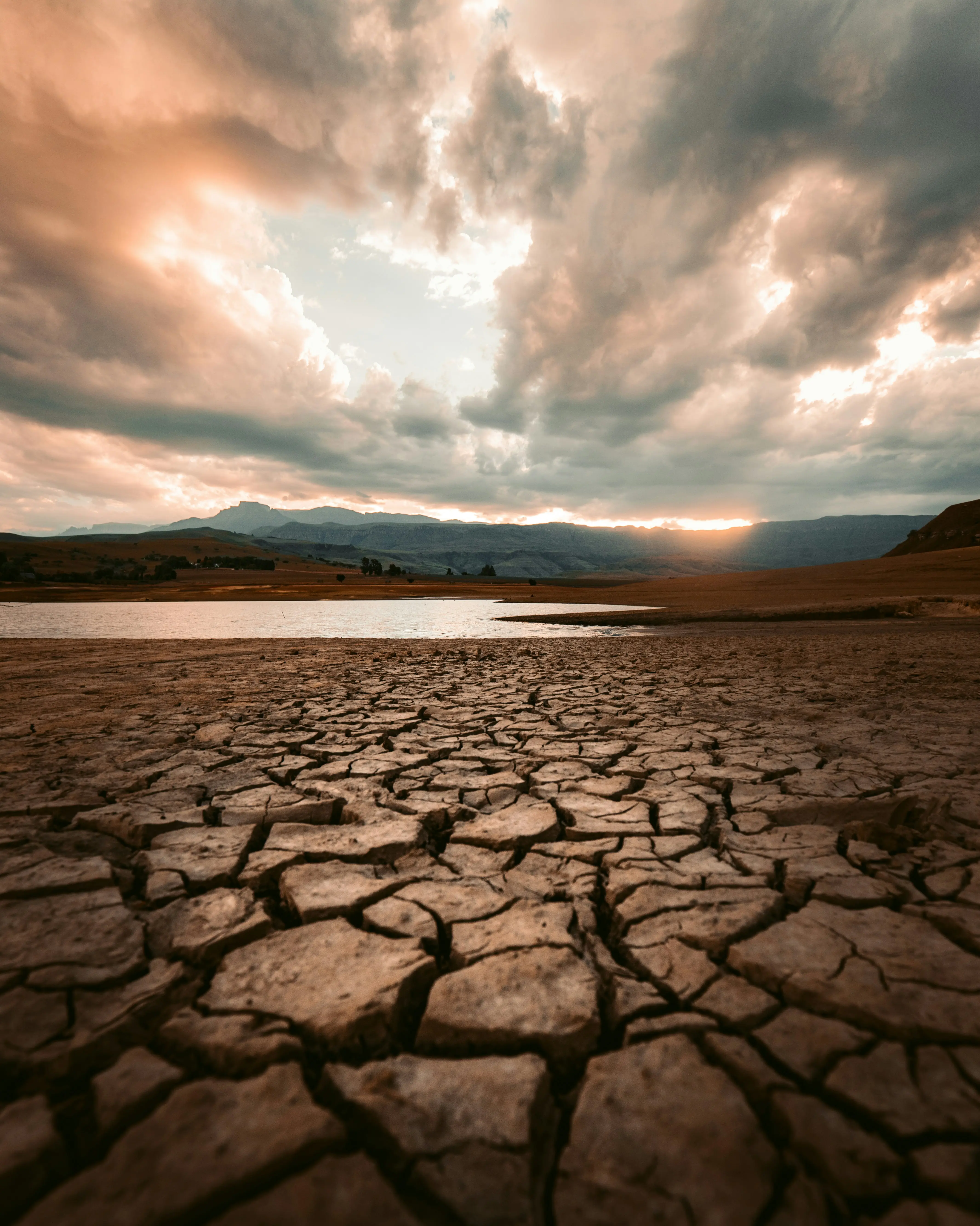 What is El Niño?