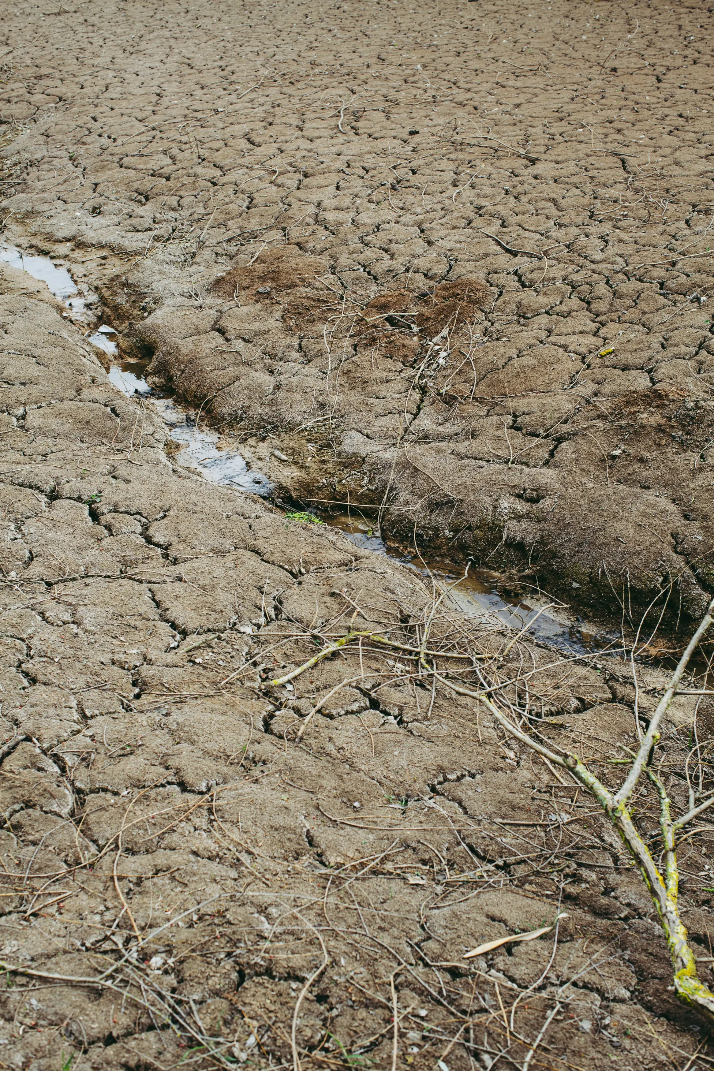 El Niño effects will be strongest in August-September