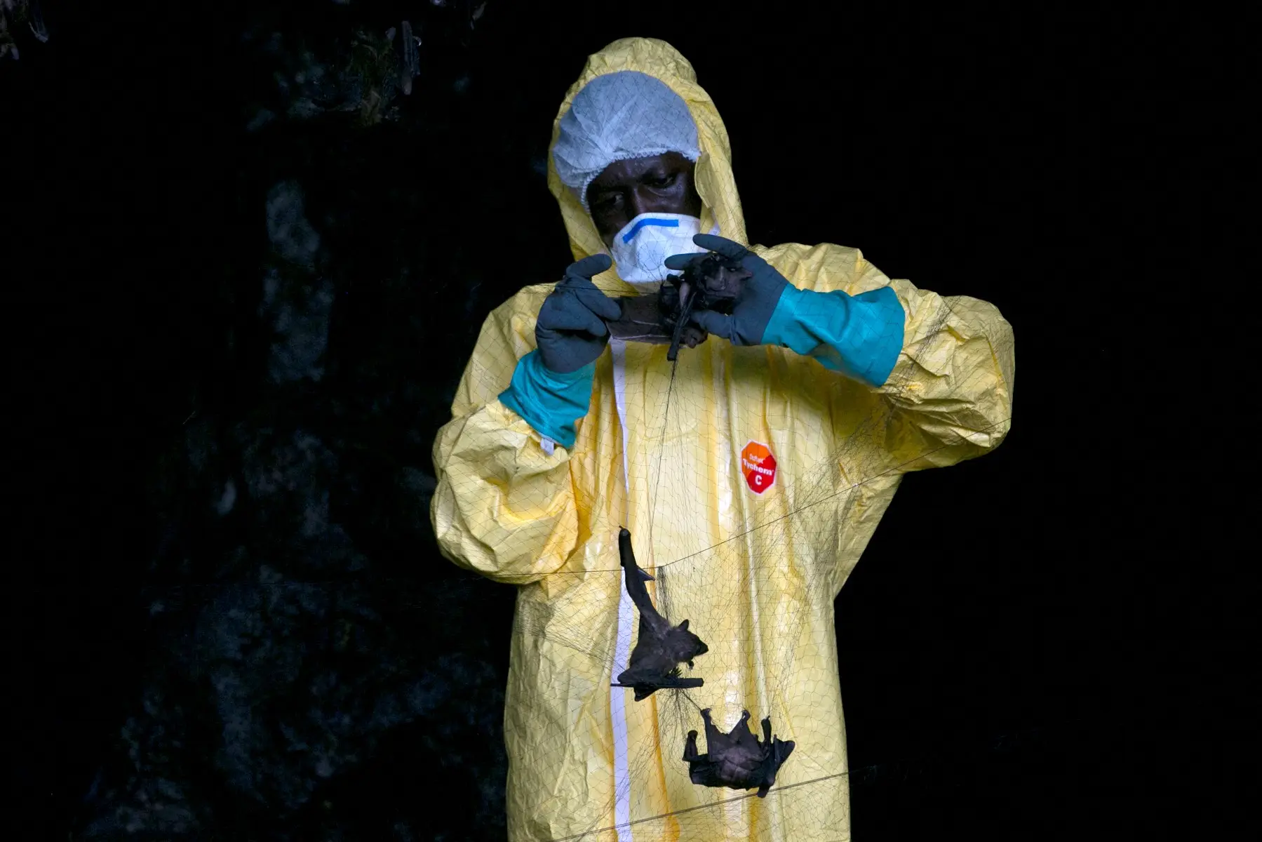 What we know about previous Ebola outbreak and how is it spread