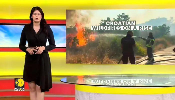 Croatia Wildfire: Wildfires Rage Across Croatia As Emergency Crews Battle Flames 