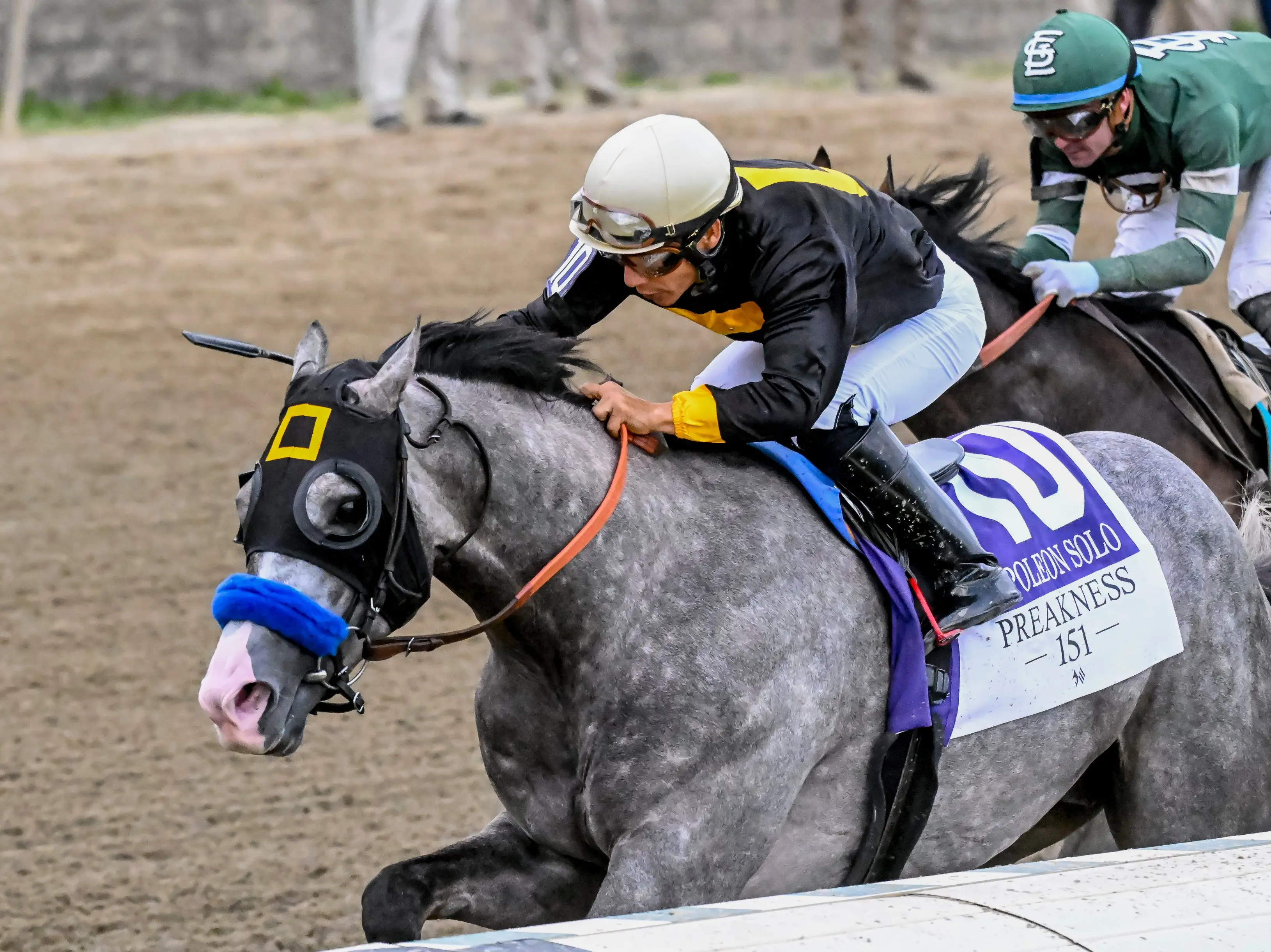 Preakness Stakes 2026 | Napoleon Solo, with 7-1 odds, wins second jewel of Triple Crown - WATCH Preakness Stakes 2026 | Napoleon Solo, with 7-1 odds, wins second jewel of Triple Crown - WATCH