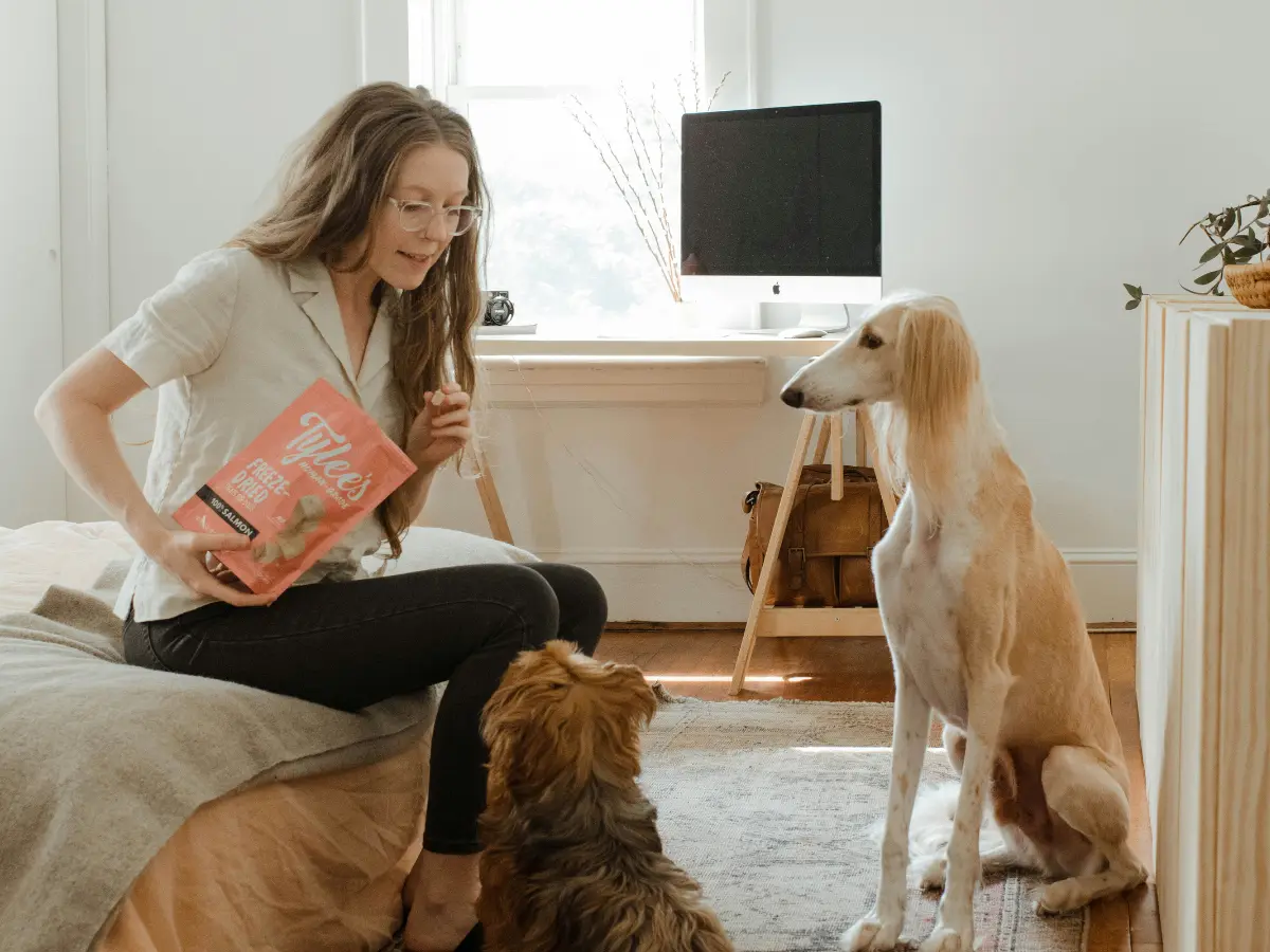 Dog nannies can make $288,000 a year in the US. Here is what you should know