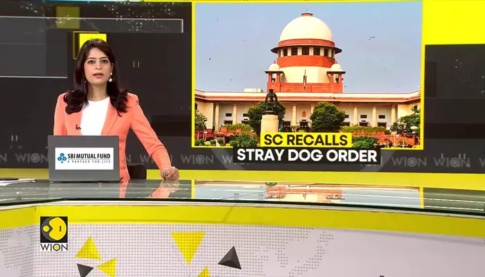 India: Supreme Court Allows Killing of Rabid Stray Dogs, Refuses to Recall Order