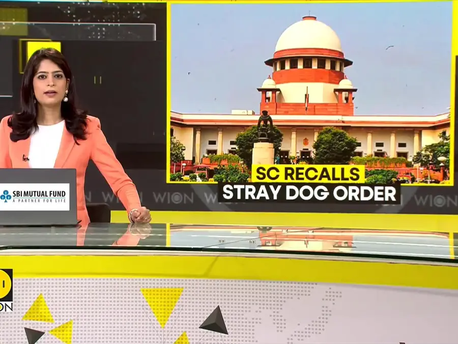 India: Supreme Court Allows Killing of Rabid Stray Dogs, Refuses to Recall Order