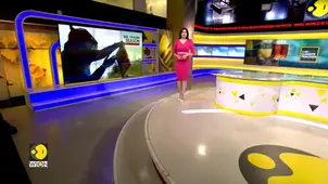 Climate Shift Triggers Unusual Bee Activity Across The World 