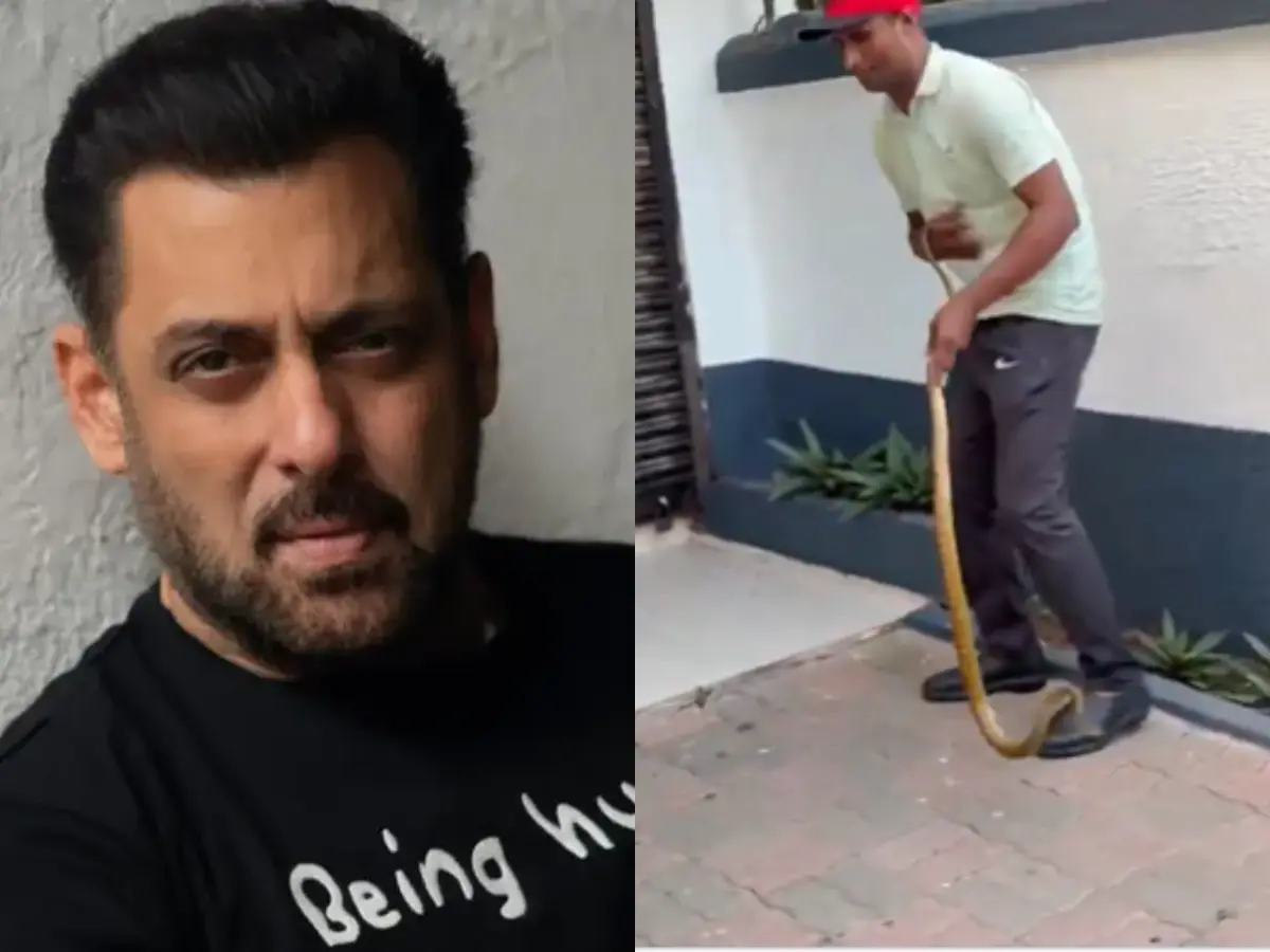 Snake found at Salman Khan’s Galaxy Apartments in Mumbai, rescued safely Snake found at Salman Khan’s Galaxy Apartments in Mumbai, rescued safely