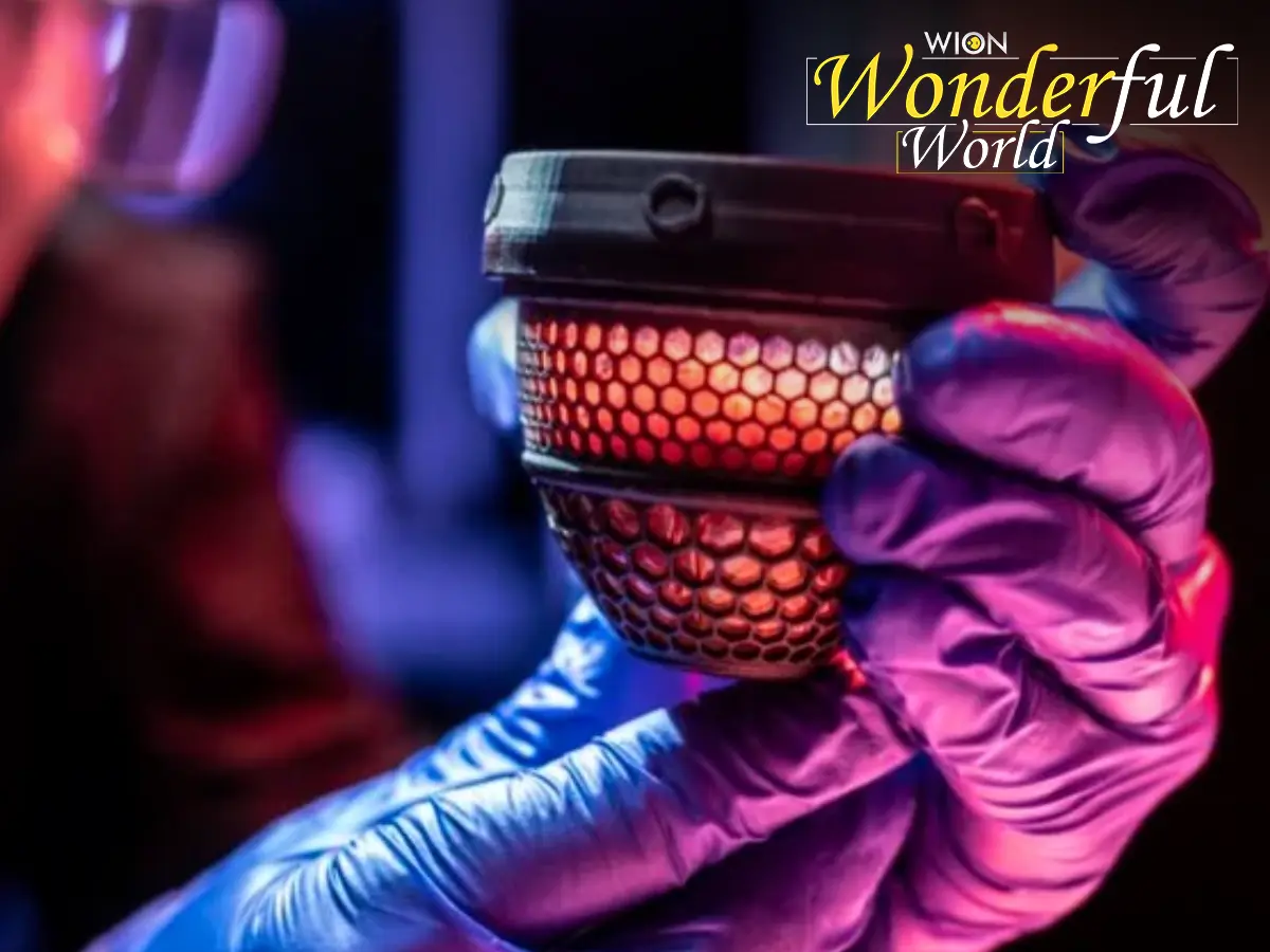 In major breakthrough, 3D-printed artificial egg hatched to produce 26 chickens