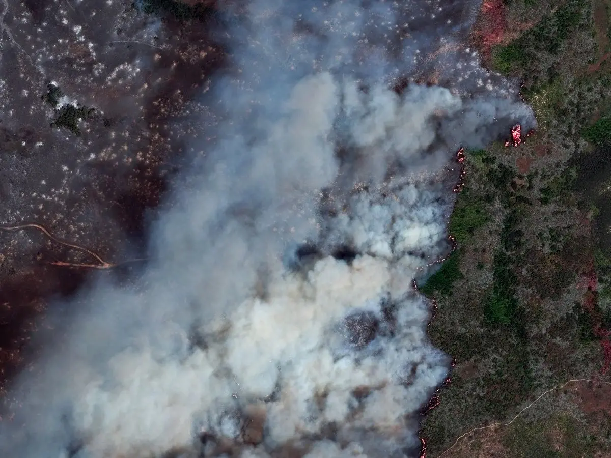 Firefighters gain progress overnight