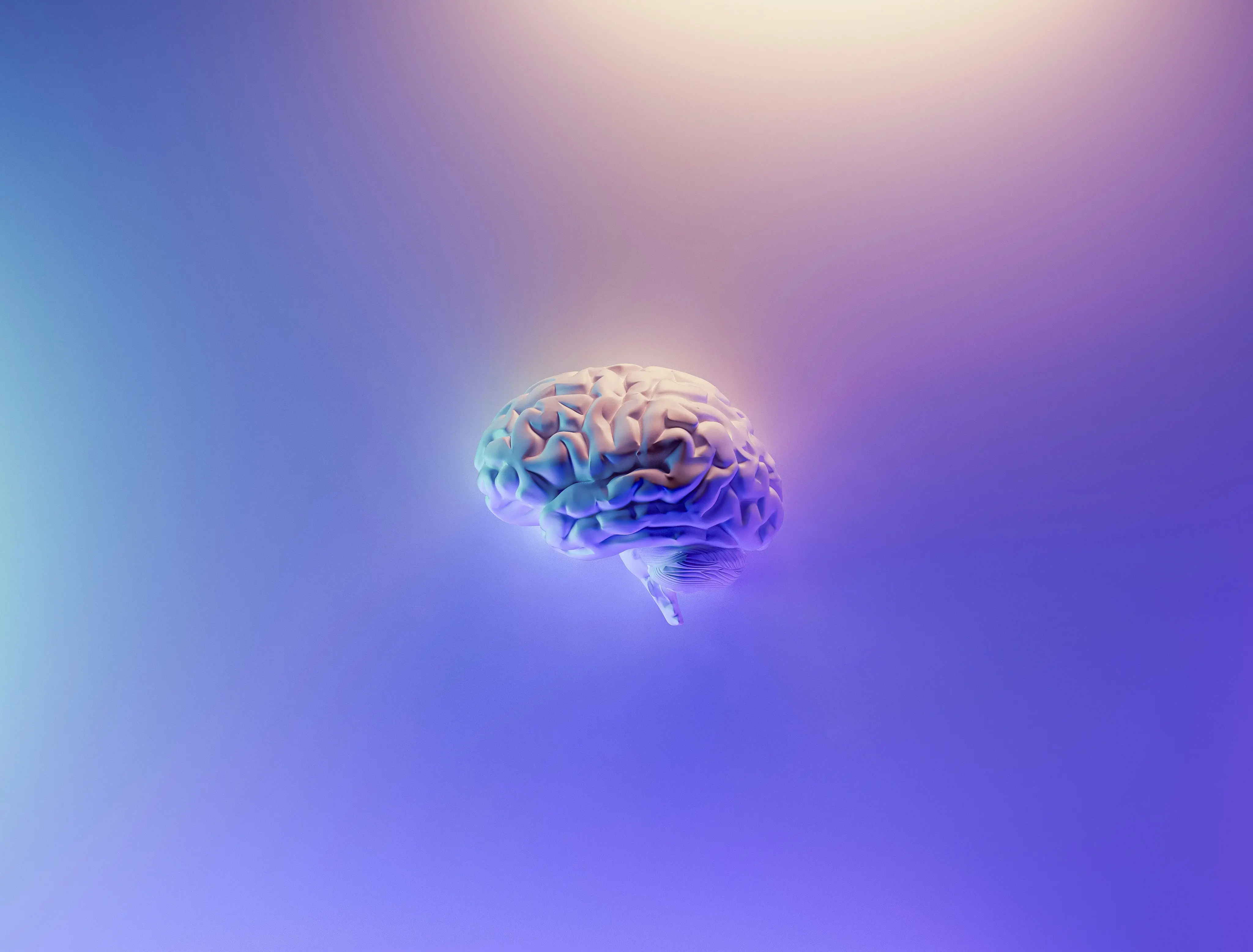 Myth 1: Humans use only 10% of their brain