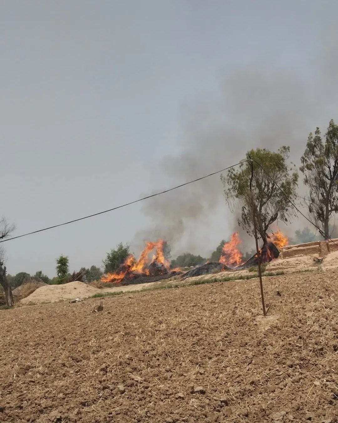 Pakistan Air Force training jet crashes in Punjab, report claims | VIDEO