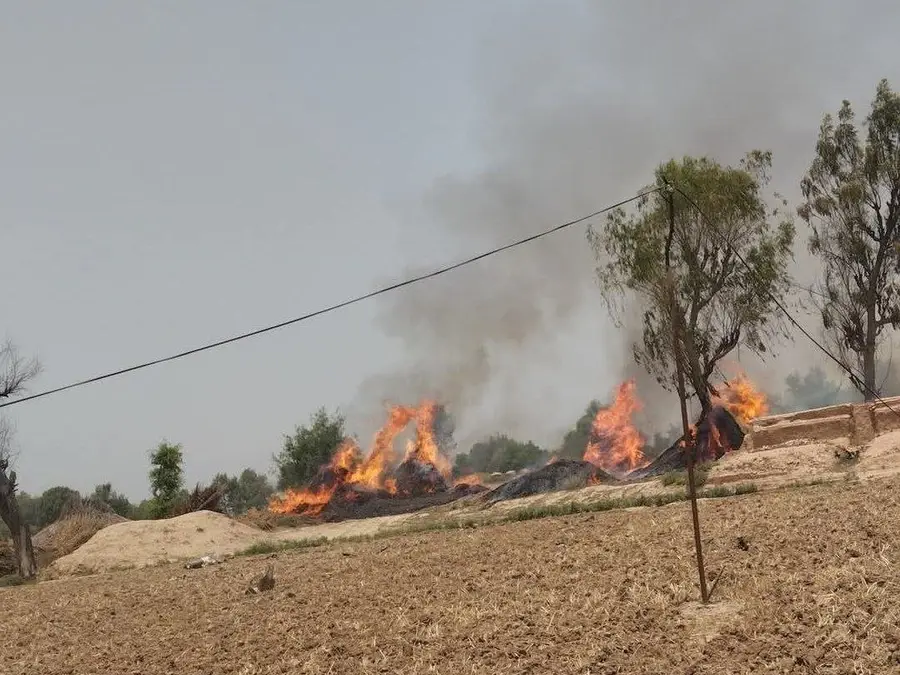 Pakistan Air Force training jet crashes in Punjab, report claims | VIDEO