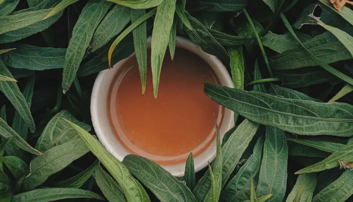 International Tea Day 2026: Which countries produce the most tea in the world?