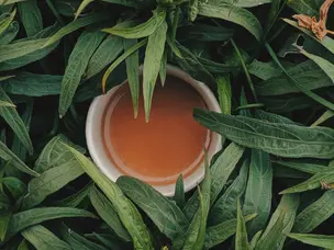 International Tea Day 2026: Which countries produce the most tea in the world?