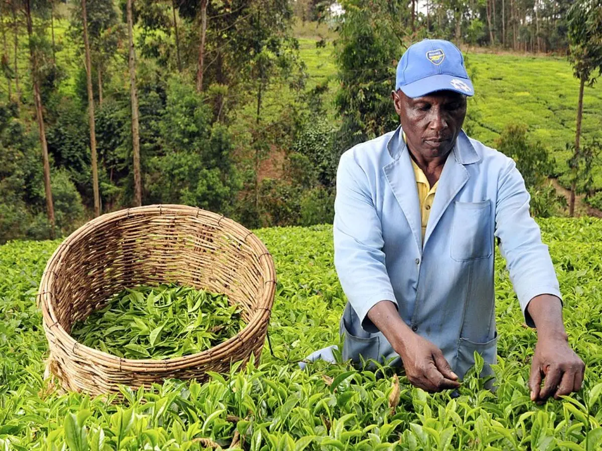 Kenya
