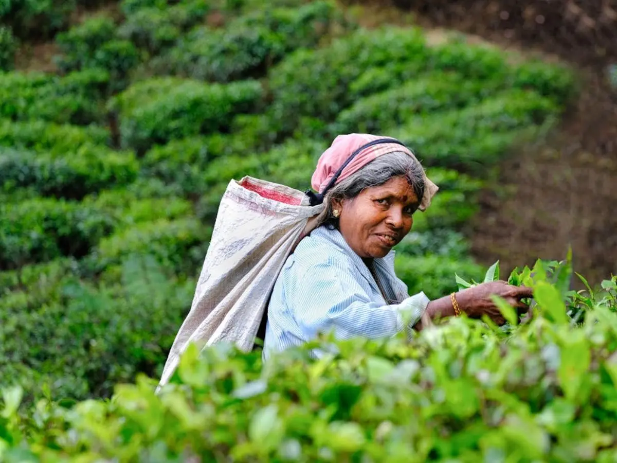 Sri Lanka