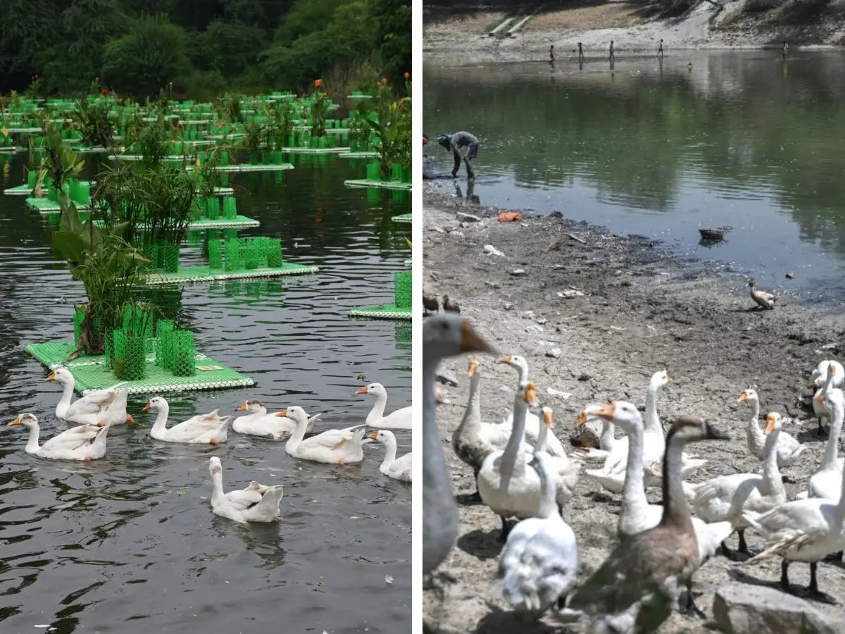 Once a picturesque scene, now a disturbing sight