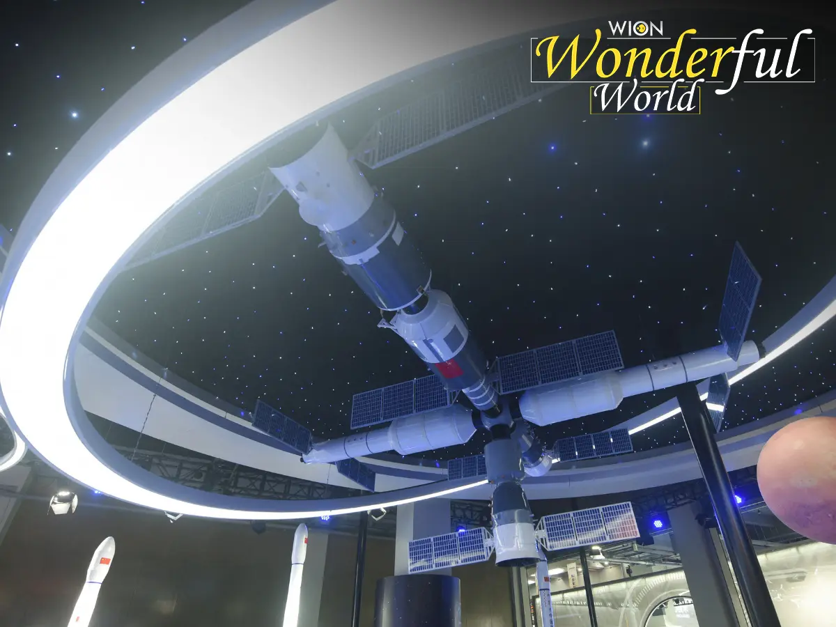 Bypassing the 14-day rule: China’s ‘artificial embryos’ exploit a double loophole in orbit Bypassing the 14-day rule: China’s ‘artificial embryos’ exploit a double loophole in orbit