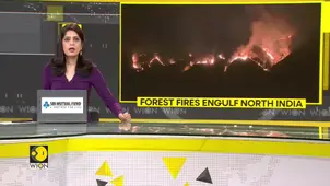 Wildfires Rip Through Himachal, Uttarakhand and J&K Forest Belts 