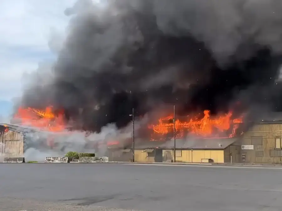 Major chemical explosion at packaging unit in Washington state causes fatalities, injuries to many