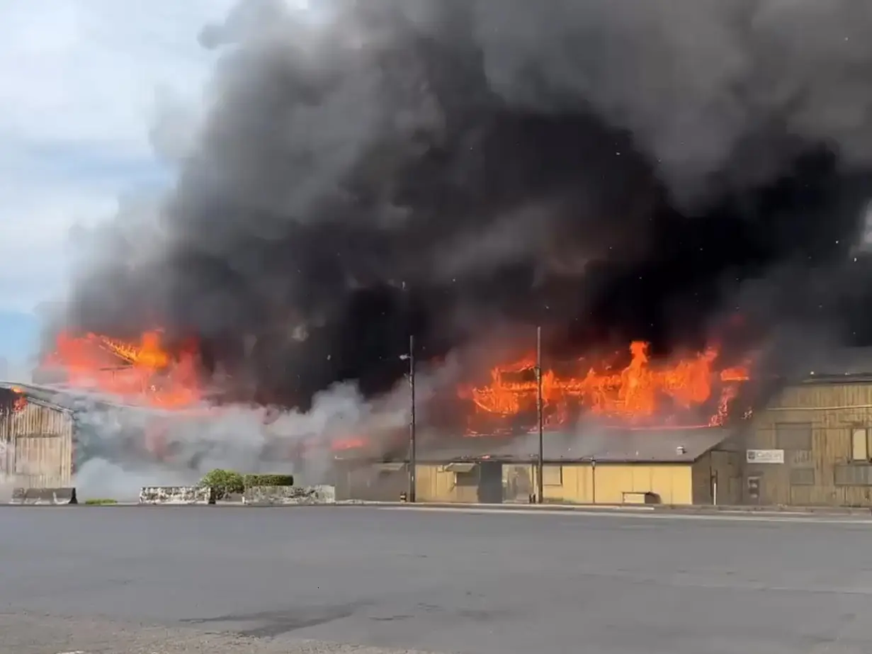 Major chemical explosion at packaging unit in Washington state causes fatalities, injuries to many Major chemical explosion at packaging unit in Washington state causes fatalities, injuries to many