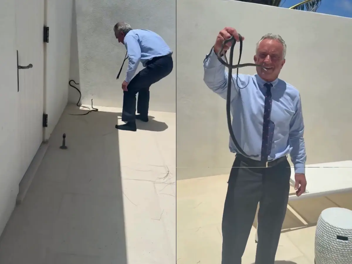‘Snake oil salesman removing snakes’: RFK Jr shares video grabbing live snakes with bare hands, sparks backlash