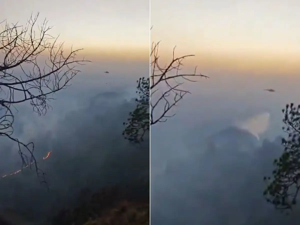 VIDEO | IAF deploys helicopters as massive forest fires rage across Himachal’s Kasauli, Solan VIDEO | IAF deploys helicopters as massive forest fires rage across Himachal’s Kasauli, Solan