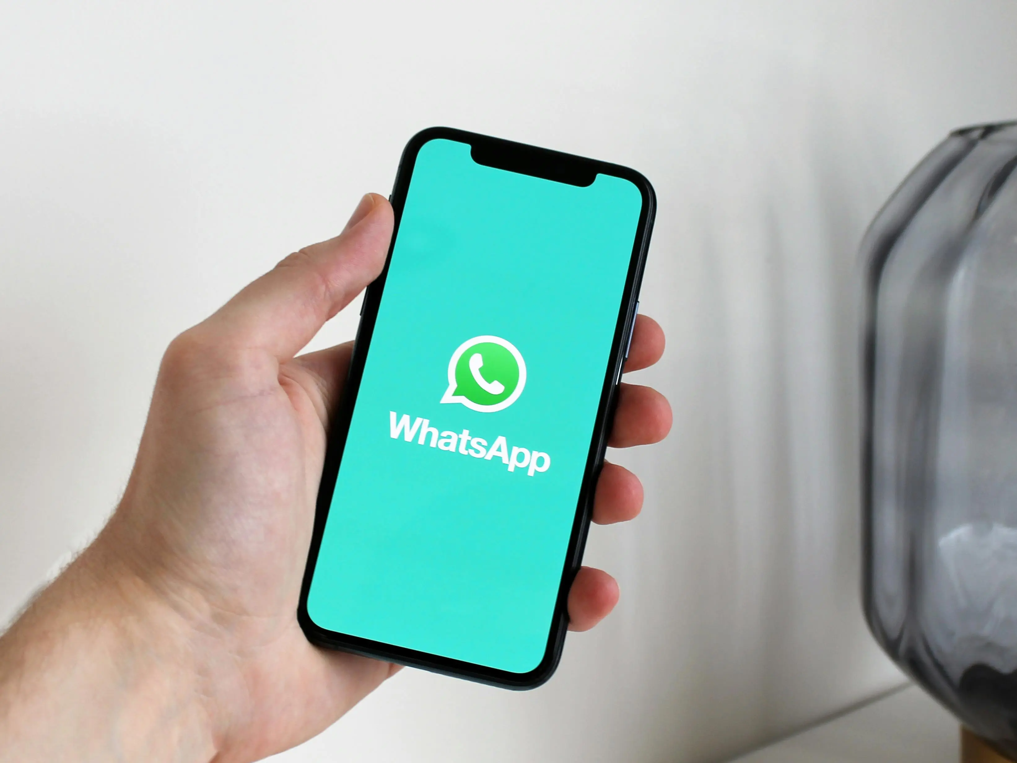 'Not yet live': Whatsapp responds after India halts its username feature - WION factchecks claims 'Not yet live': Whatsapp responds after India halts its username feature - WION factchecks claims