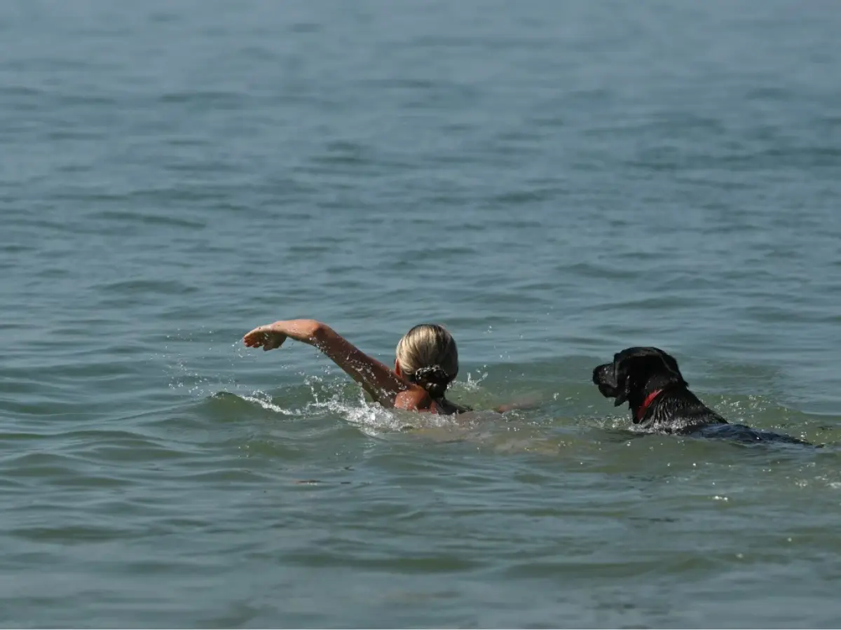 UK heatwave: Londoners urged not to call 999 unless it is a 'life-threatening' emergency UK heatwave: Londoners urged not to call 999 unless it is a 'life-threatening' emergency