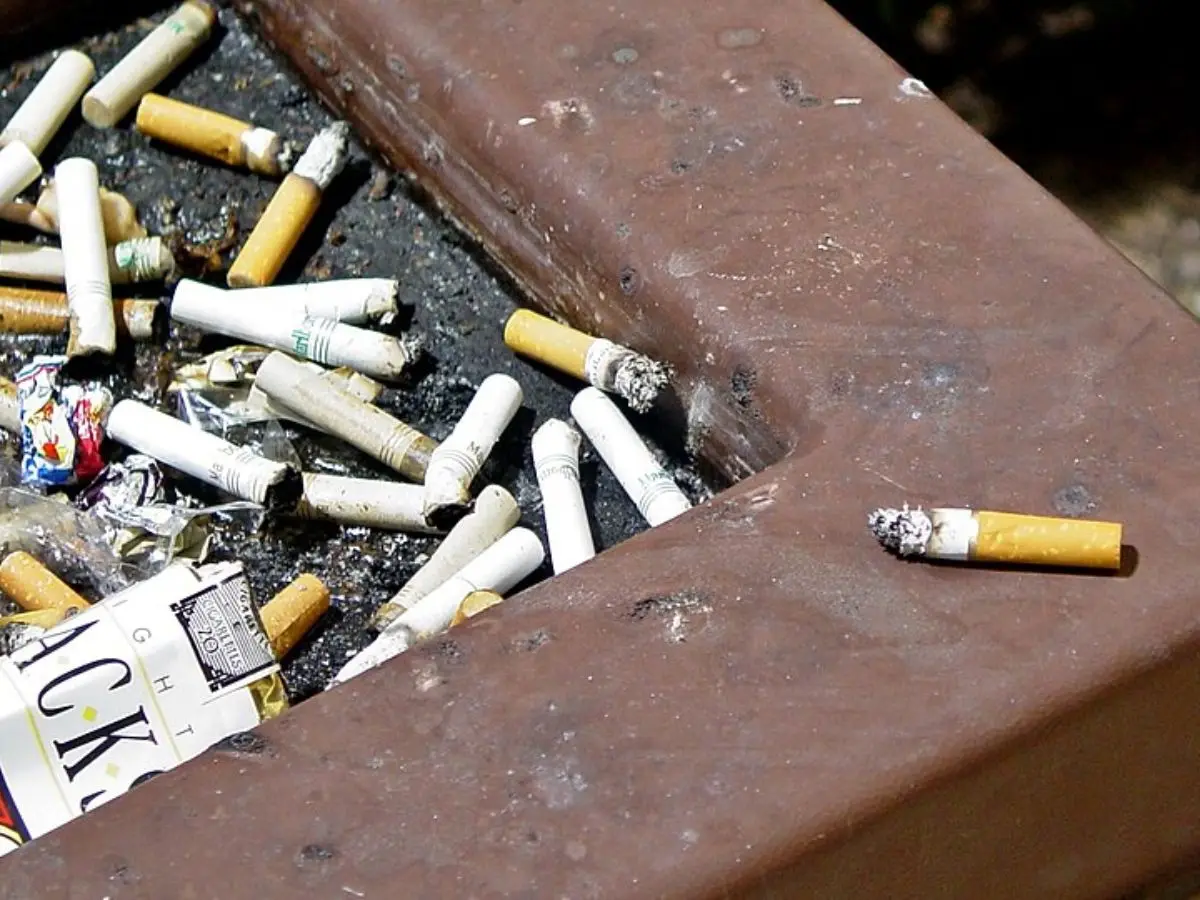 305s cigarettes price 305's Menthol Kings
