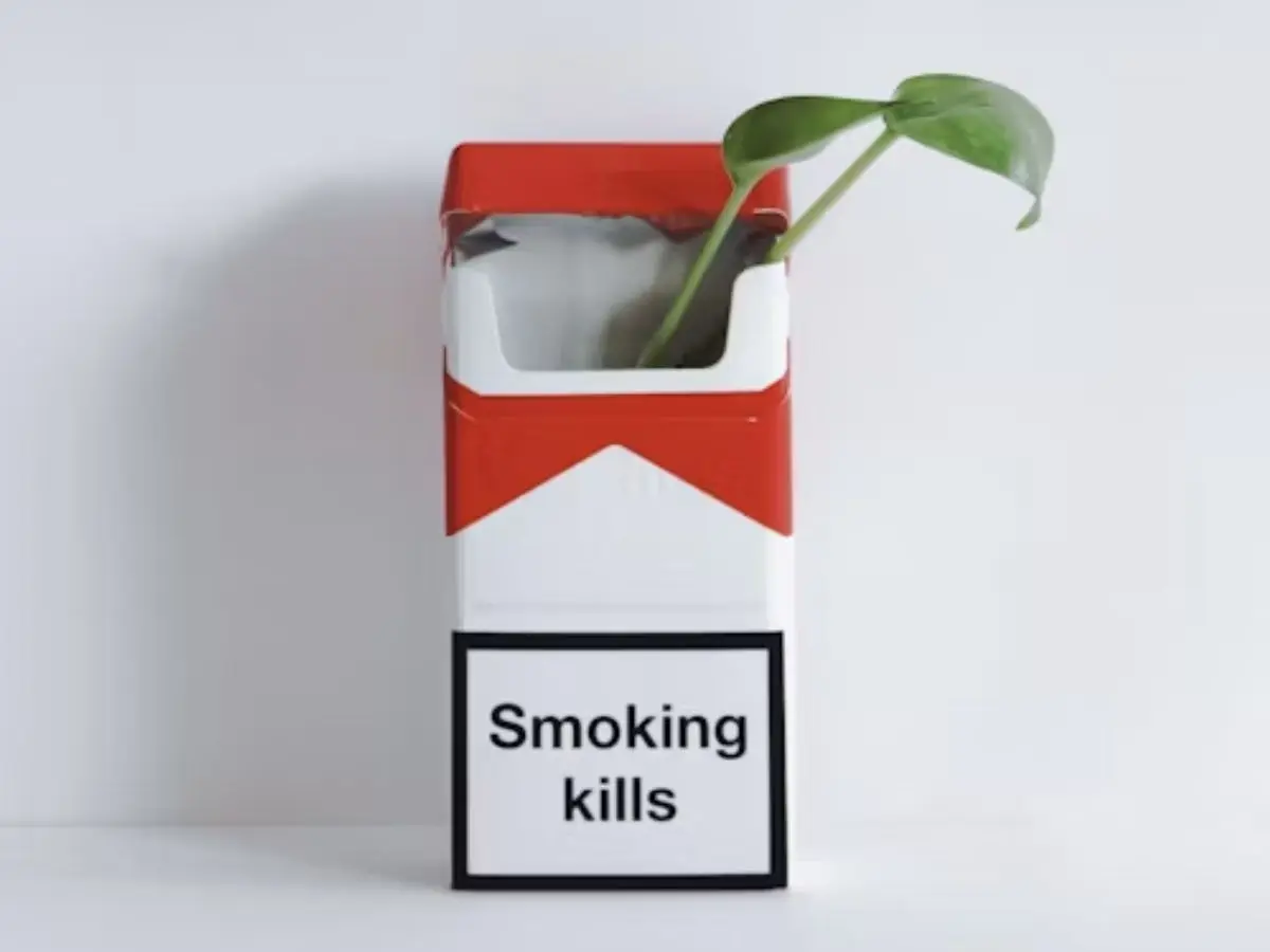 Global tobacco epidemic