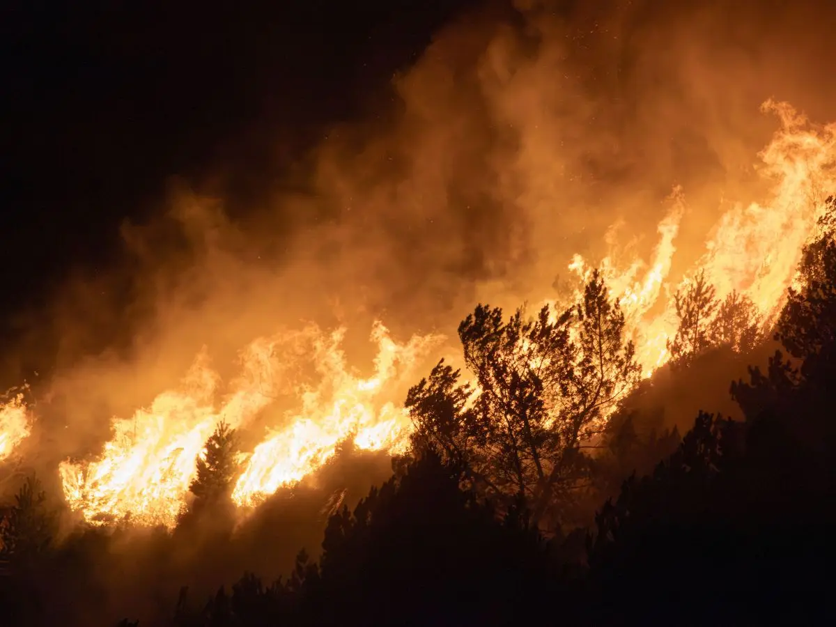 Think this is the hottest it gets? UN report warns Earth could smash temperature records by 2030 Think this is the hottest it gets? UN report warns Earth could smash temperature records by 2030