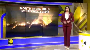 India Wildfires: Heatwave Conditions Spark Wildfires in Rajouri Forests