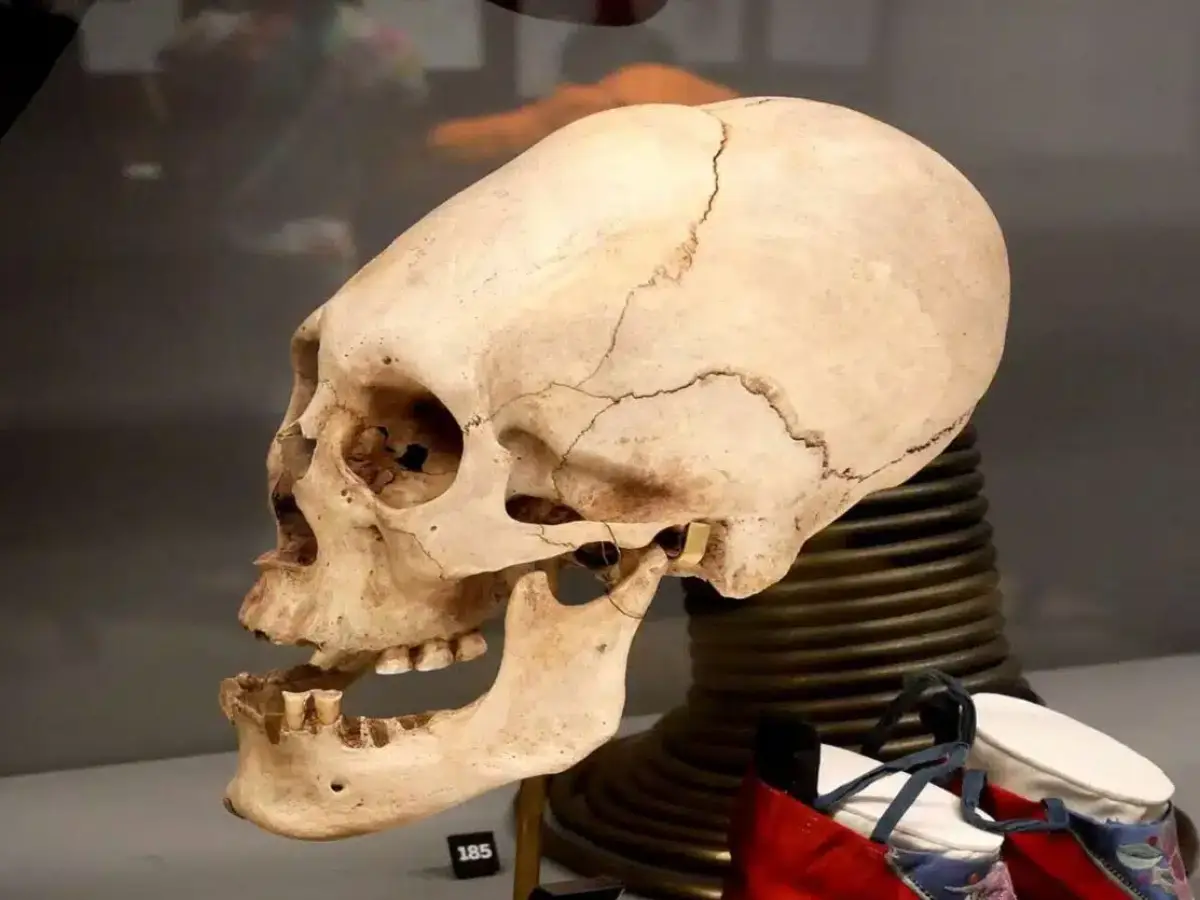 Peru conehead mummies: Another DNA analysis bites the dust as scientists fail to rule out 'extraterrestrial' origins