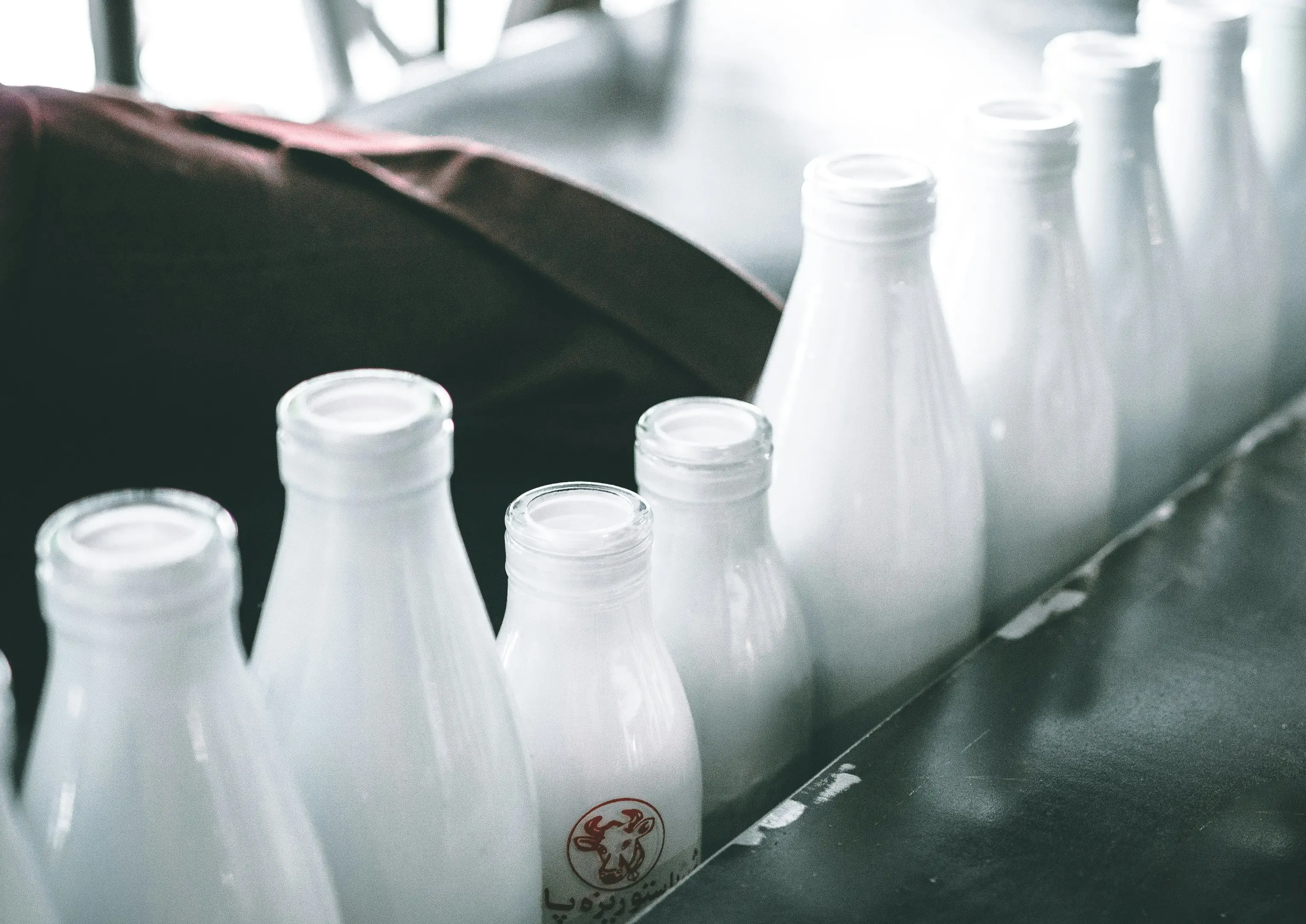 Who leads global dairy race? Top 7 milk-producing countries in world in 2025/26